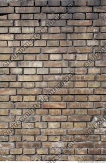 Photo Textures of Wall Bricks
